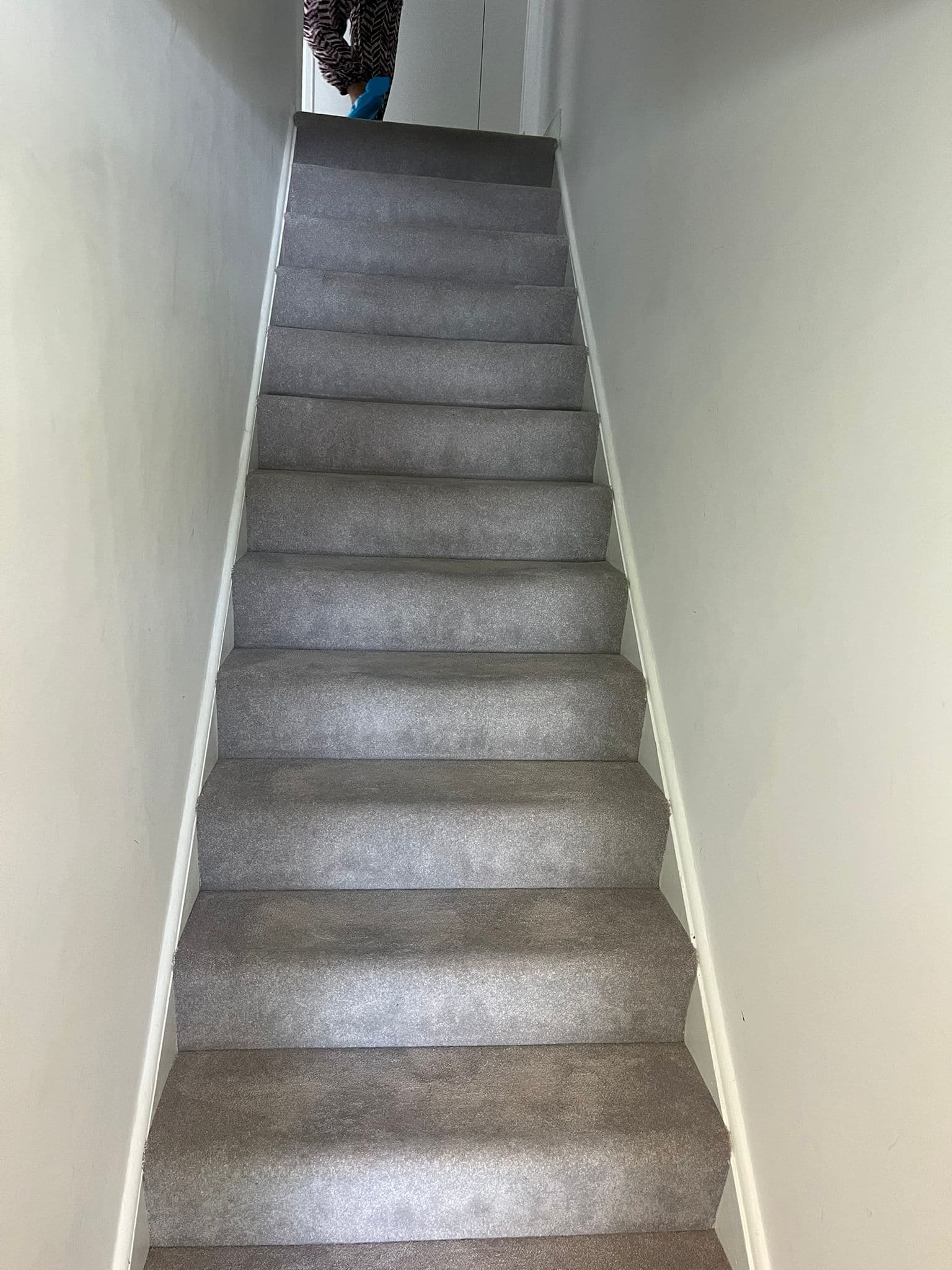 Freshly deep-cleaned grey stair carpet